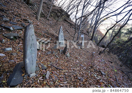 旧中山道の遊歩道　めがね橋からの道と合流以後、坂本宿へ向かう旧中山道 　刎石山の下り　 84864750