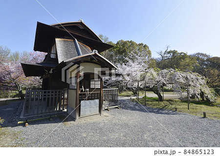 春の渉成園 傍花閣 京都市下京区 春の渉成園 傍花閣 京都市下京区 84865123
