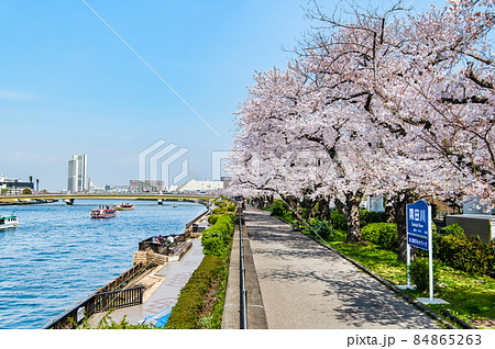 東京都墨田区　春の隅田川　～言問橋周辺の満開桜～ 84865263