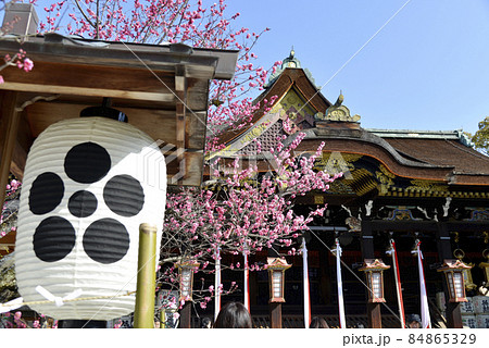 春の北野天満宮 梅と拝殿 京都市上京区 春の北野天満宮 梅と拝殿 京都市上京区 84865329