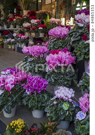 クリスマス前の花屋の店先 84865353