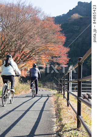サイクリングしている人々　後ろ姿 84865423