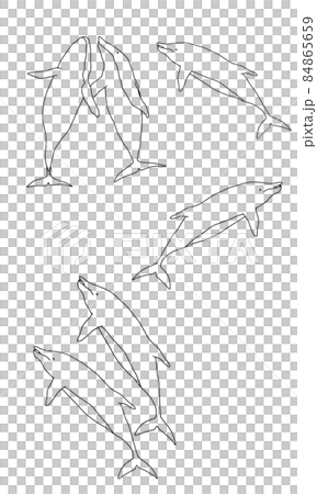 簡單的海豚線藝術插圖 簡單的海豚線藝術插圖 84865659