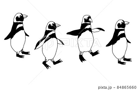 かわいいペンギンが歩く線画イラストのイラスト素材