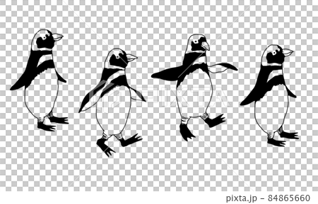 かわいいペンギンが歩く線画イラスト 84865660