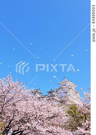 兵庫県　春の姫路城と桜吹雪 84866003