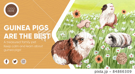 Billboard template with cute guinea pig concept,watercolor style Billboard template with cute guinea pig concept,watercolor style 84866309