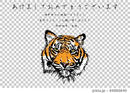 Face vector color Happy New Year Face vector color Happy New Year 84866640