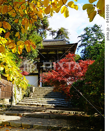 長岳寺　紅葉　奈良県 84866966