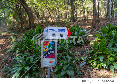 大小山の男坂・女坂分岐(栃木県足利市) 大小山の男坂・女坂分岐(栃木県足利市) 84868558