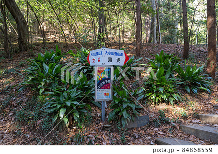 大小山の男坂・女坂分岐（栃木県足利市） 84868559