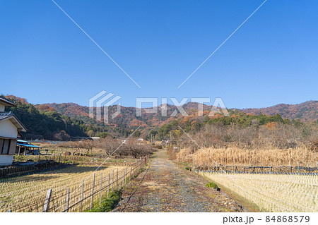 車道から見た大小山（栃木県足利市） 84868579