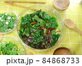 畑で収穫した野菜をサラダにしたヘルシーフード（引き） 84868733