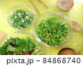 畑で収穫した野菜をサラダにしたヘルシーフード（引き） 84868740