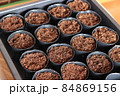 ポットを使った野菜の種まき 84869156