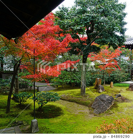 建仁寺　京都　紅葉 84869290