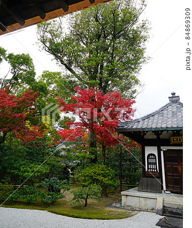 建仁寺　京都　紅葉 84869309