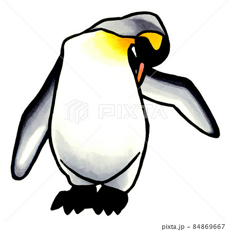 羽繕いをするキングペンギンのイラスト かわいい手描きイラスト素材のイラスト素材