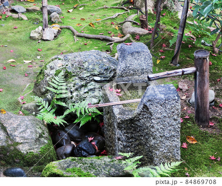 京都 圓徳院 紅葉 京都 圓徳院 紅葉 84869708