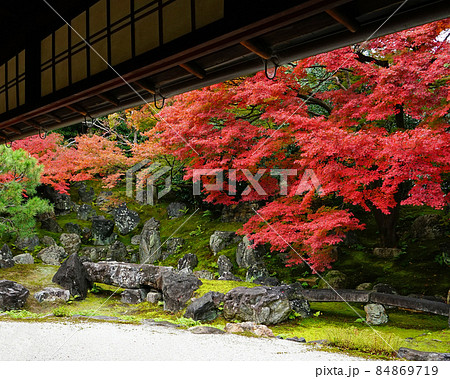 京都　圓徳院　紅葉 84869719