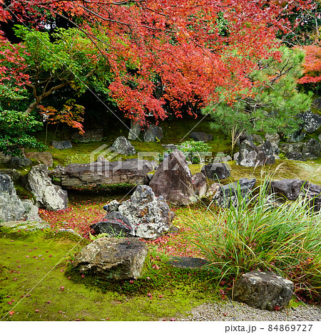 京都 圓徳院 紅葉 京都 圓徳院 紅葉 84869727