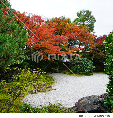 京都 圓徳院 紅葉 京都 圓徳院 紅葉 84869740