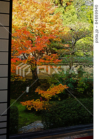 京都　泉涌寺　雲龍院　紅葉 84869940