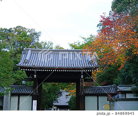 京都　泉涌寺　雲龍院　紅葉 84869945