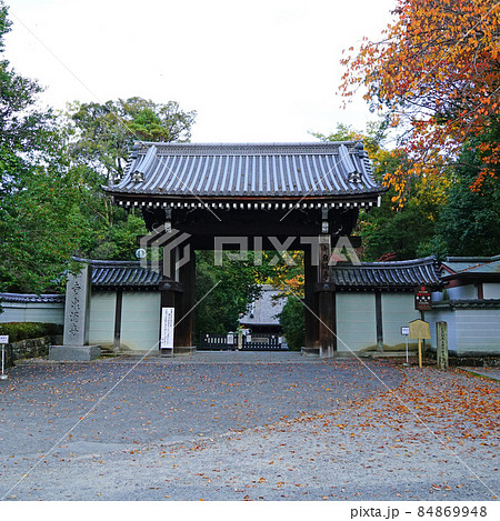 京都 泉涌寺 雲龍院 紅葉 京都 泉涌寺 雲龍院 紅葉 84869948