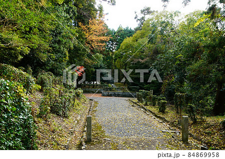 京都　泉涌寺　雲龍院　紅葉 84869958