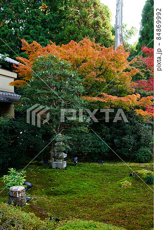 京都　泉涌寺　雲龍院　紅葉 84869992