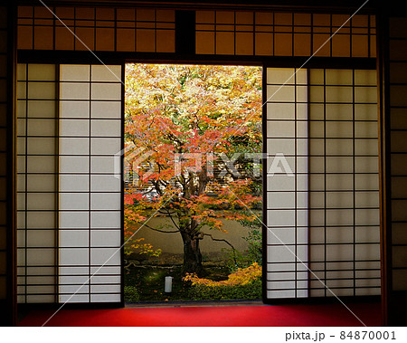 京都 泉涌寺 雲龍院 紅葉 京都 泉涌寺 雲龍院 紅葉 84870001
