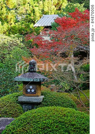 京都　泉涌寺　雲龍院　紅葉 84870006