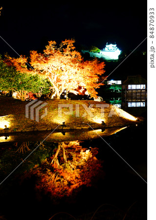 玄宮園　国の特別史跡　臨池閣　国宝天守閣 84870933