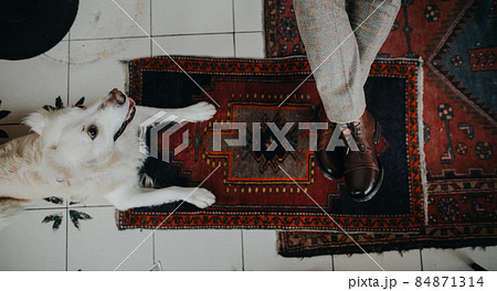 Unrecognizable senior man sitting in cafeteria with his dog, directly above view. Unrecognizable senior man sitting in cafeteria with his dog, directly above view. 84871314