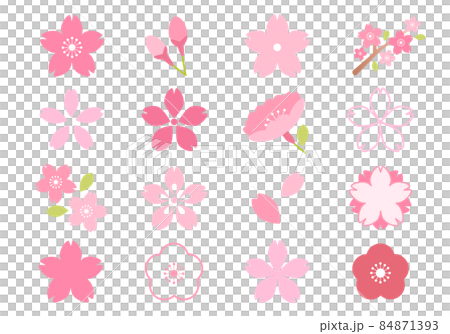 Cherry blossom icon vector illustration set Cherry blossom icon vector illustration set 84871393
