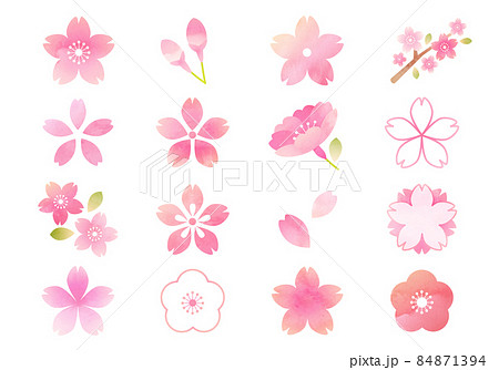 桜のアイコンのベクターイラストセット 84871394