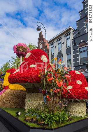 Statue made of tulips on flowers parade in Haarlem Netherlands 84871832