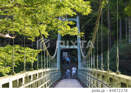 【東京都】御岳渓谷 楓橋 【東京都】御岳渓谷 楓橋 84872276