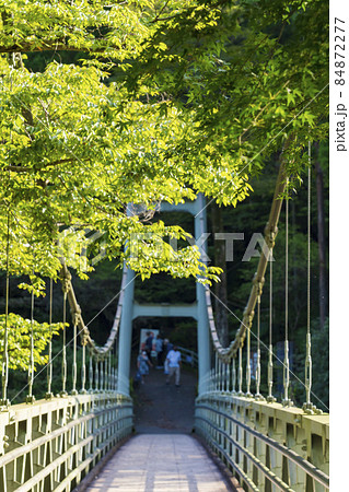 【東京都】御岳渓谷 楓橋 【東京都】御岳渓谷 楓橋 84872277