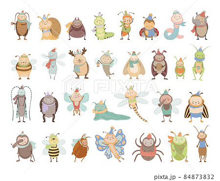 Cute Insect Characters 84873832