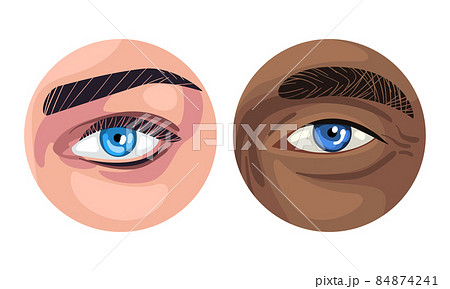 Human Eye of Various Color with Brow Curve and Skin Circle View Vector Set 84874241