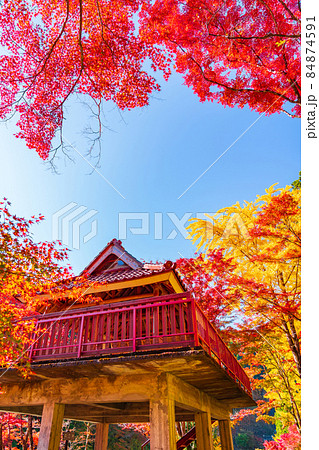 秋の大井平公園〈愛知県豊田市〉 84874591