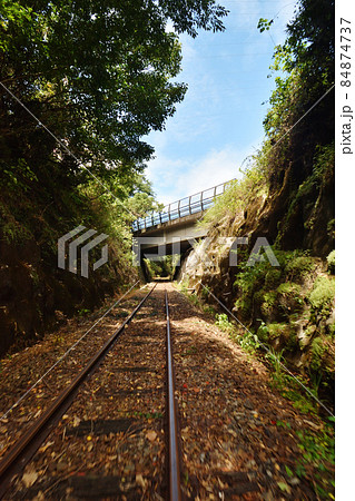くま川鉄道の線路の上で 84874737