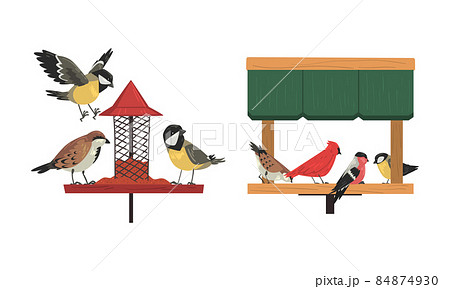 Winter Birds Feeding by Seeds and Grains Poured on Birdfeeder or Bird Table Vector Set Winter Birds Feeding by Seeds and Grains Poured on Birdfeeder or Bird Table Vector Set 84874930
