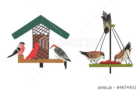 Winter Birds Feeding by Seeds and Grains Poured on Birdfeeder or Bird Table Vector Set Winter Birds Feeding by Seeds and Grains Poured on Birdfeeder or Bird Table Vector Set 84874931