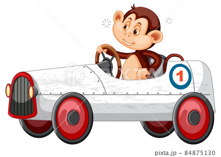 Little monkey driving white race car on white background Little monkey driving white race car on white background 84875130