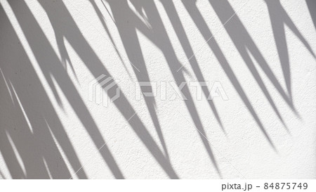 shadow of leaf tree on white wall - black and white gray background shadow of leaf tree on white wall - black and white gray background 84875749