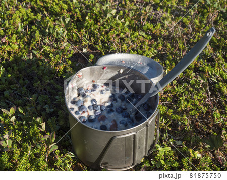 Metal titanium mug full of oatmeal, porridge with ripe blue berries of European blueberry and almonds, lying on the green forest ground in natural sunlight, selective focus 84875750
