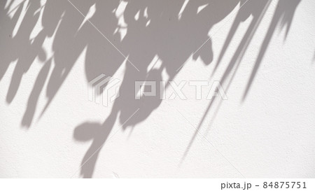 shadow of leaf tree on white wall - black and white gray background 84875751